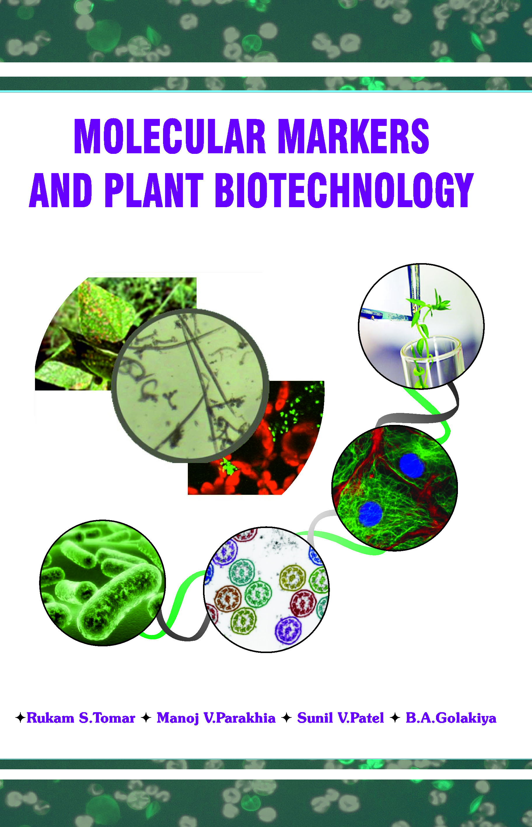 Molecular Markers and Plant Biotechnology