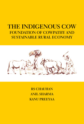 Indigenous Indian Cow